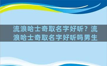 流浪哈士奇取名字好听？流浪哈士奇取名字好听吗男生