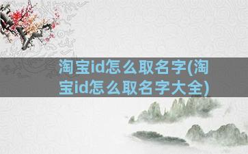 淘宝id怎么取名字(淘宝id怎么取名字大全)