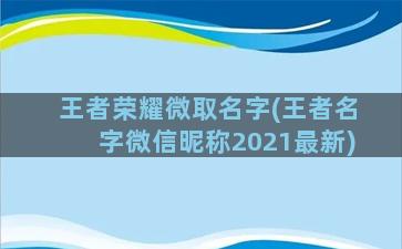 王者荣耀微取名字(王者名字微信昵称2021最新)