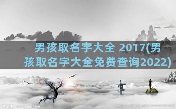 男孩取名字大全+2017(男孩取名字大全免费查询2022)