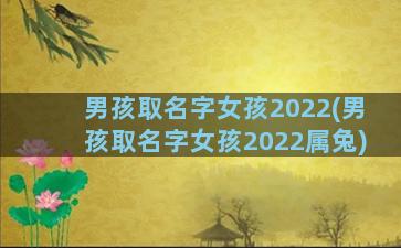 男孩取名字女孩2022(男孩取名字女孩2022属兔)