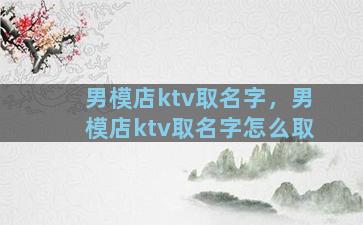 男模店ktv取名字，男模店ktv取名字怎么取