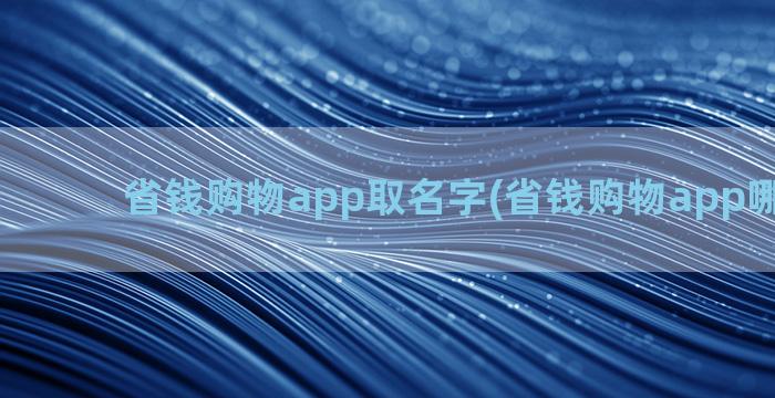 省钱购物app取名字(省钱购物app哪个最好)