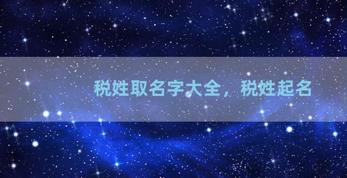 税姓取名字大全，税姓起名