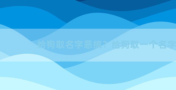 给狗取名字恶搞？给狗取一个名字