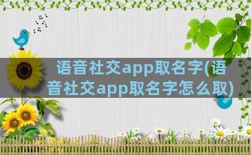 语音社交app取名字(语音社交app取名字怎么取)