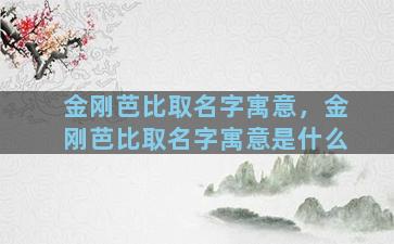 金刚芭比取名字寓意，金刚芭比取名字寓意是什么