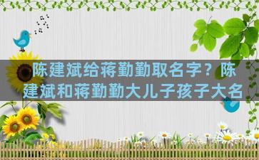 陈建斌给蒋勤勤取名字？陈建斌和蒋勤勤大儿子孩子大名