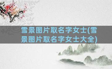 雪景图片取名字女士(雪景图片取名字女士大全)