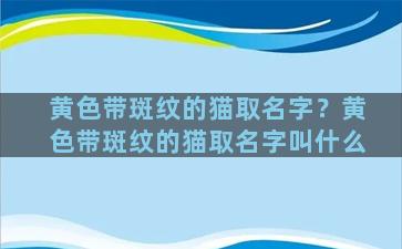 黄色带斑纹的猫取名字？黄色带斑纹的猫取名字叫什么